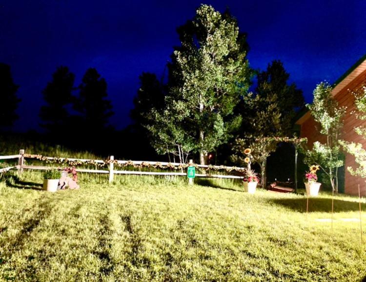 Yellowstone Cattle Baron Ensuite, Private Entrance & Parking - Prairie Rose B&B Τσεγιέν Εξωτερικό φωτογραφία